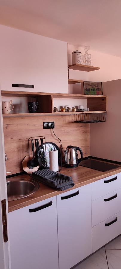 Apartman Stara Pruga 塞拉耶佛 外观 照片